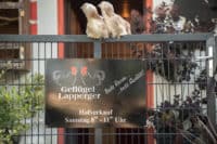 Geflügel Lapperger