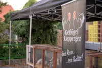 Geflügelmarkt Meitingen-Geflügel Lapperger