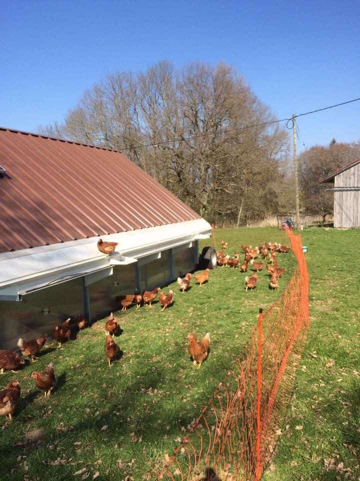 Allgäu Oberlandtour-Geflügel Lapperger